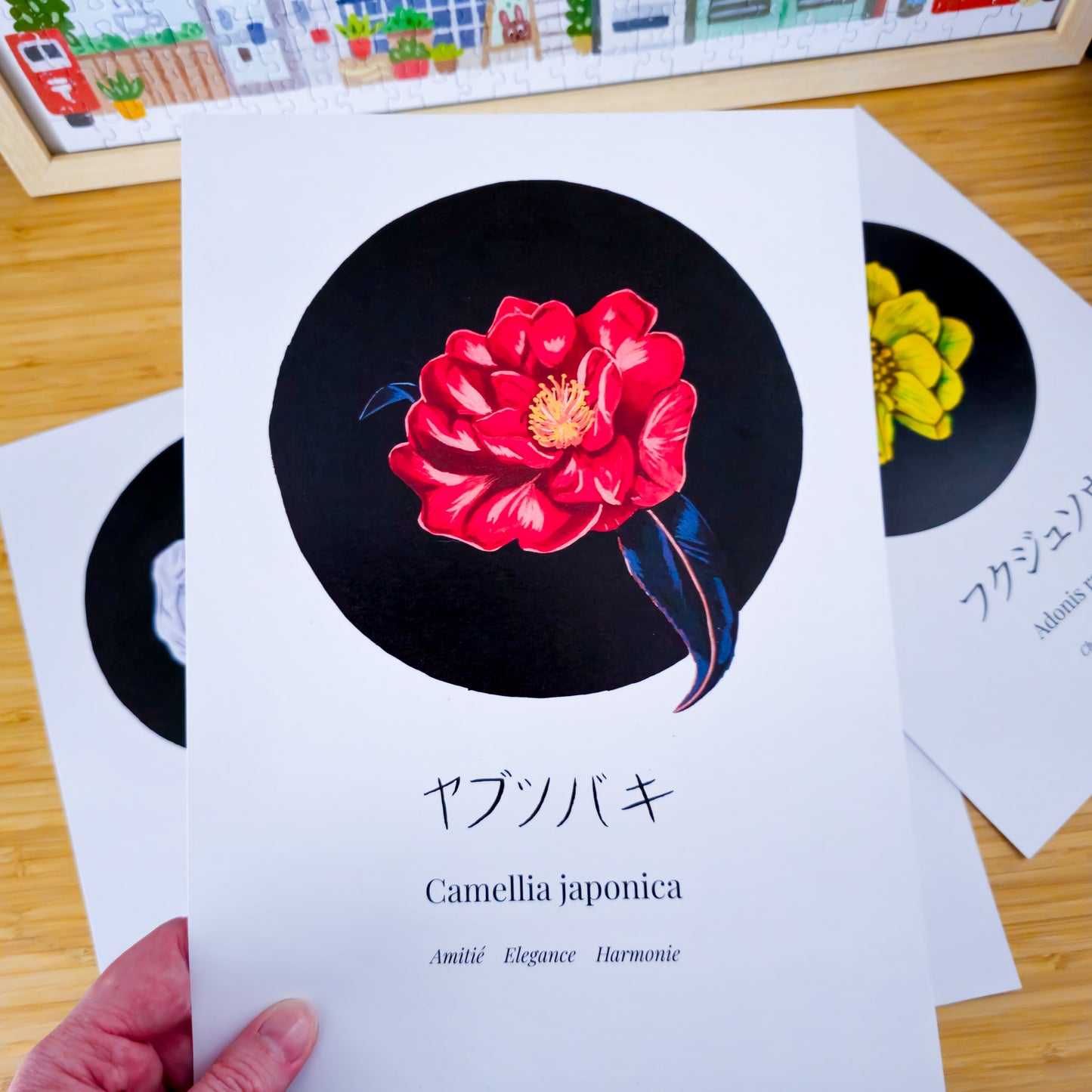 Camellia japonica - Oasis Coworking