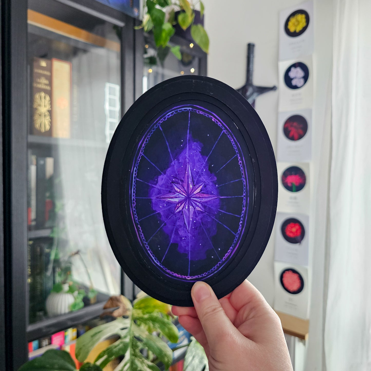 Eclat d'astre d'hiver