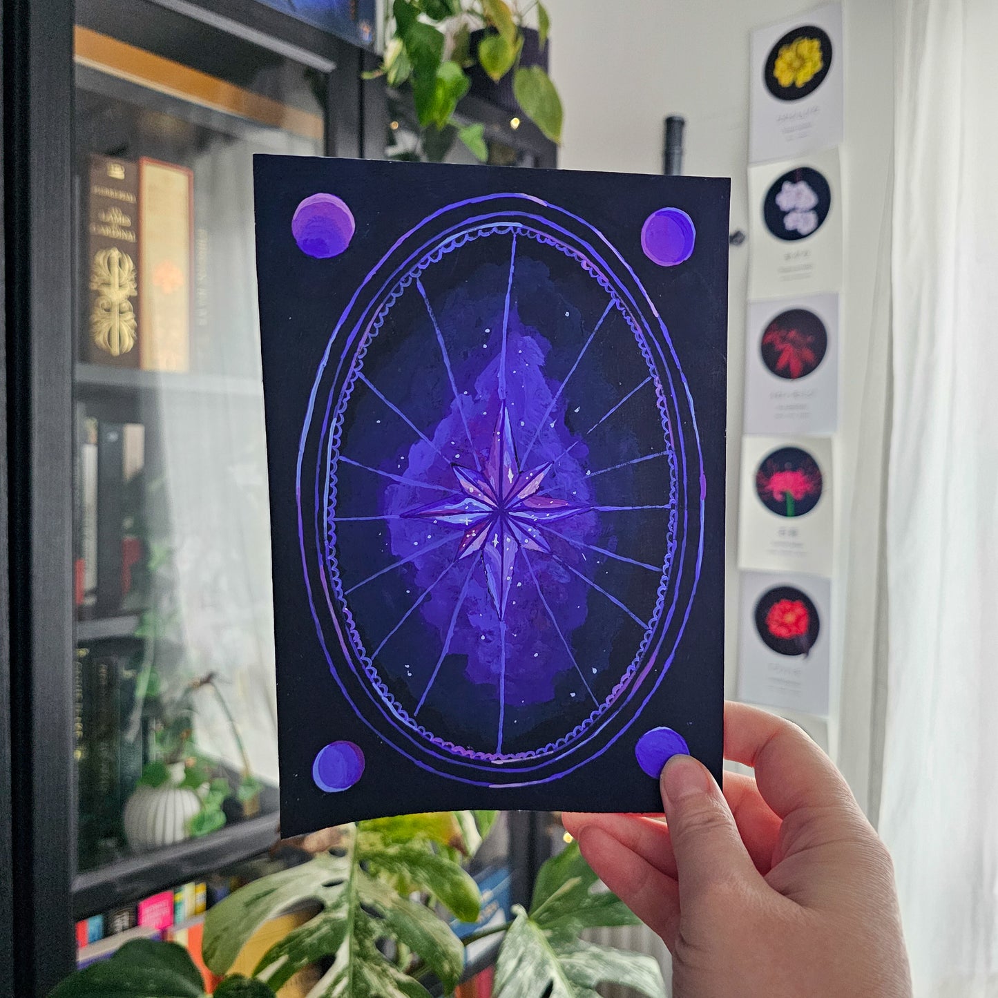 Eclat d'astre d'hiver